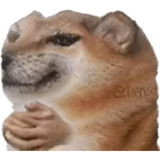 Shit posting - Sticker 17