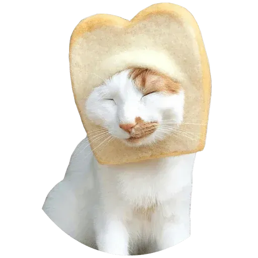 Goddamn cats - Sticker 12