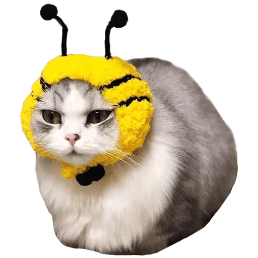 Goddamn cats - Sticker 24