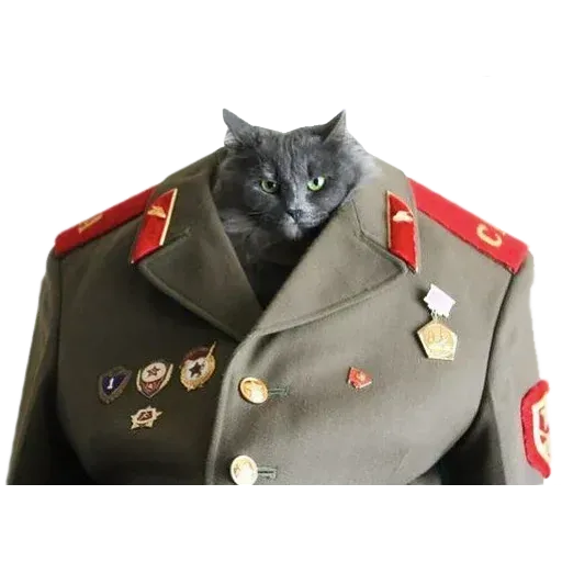 Goddamn cats - Sticker 10