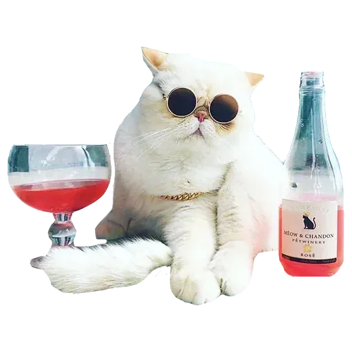Goddamn cats - Sticker 20