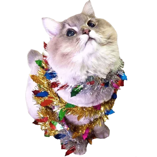 Goddamn cats - Sticker 25