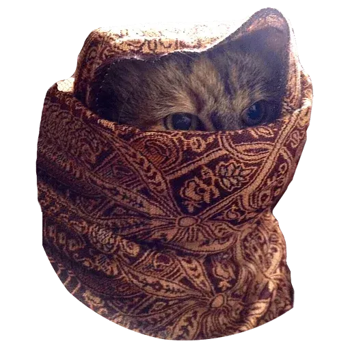 Goddamn cats - Sticker 11