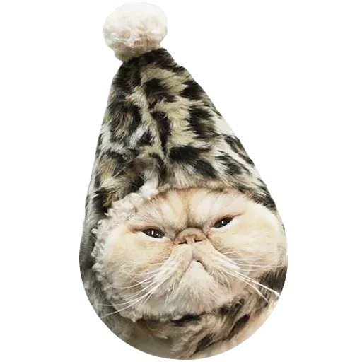 Goddamn cats - Sticker 26