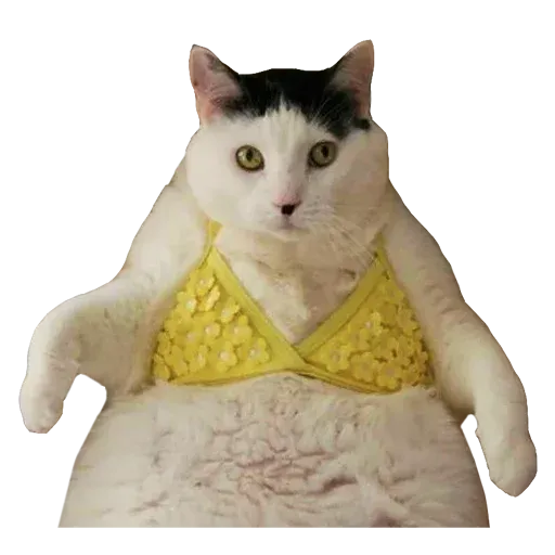 Goddamn cats - Sticker 27