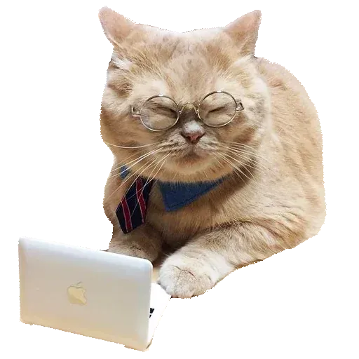 Goddamn cats - Sticker 18