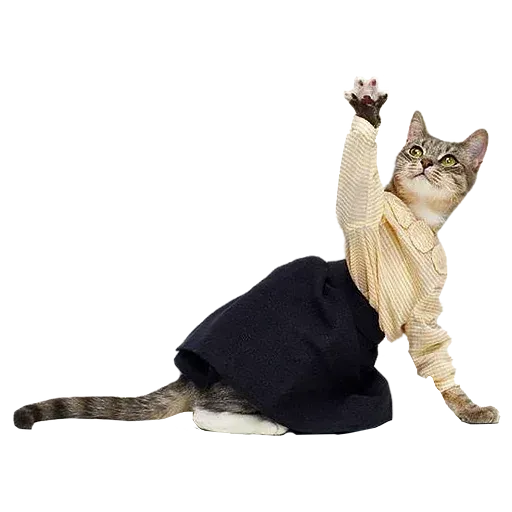 Goddamn cats - Sticker 14