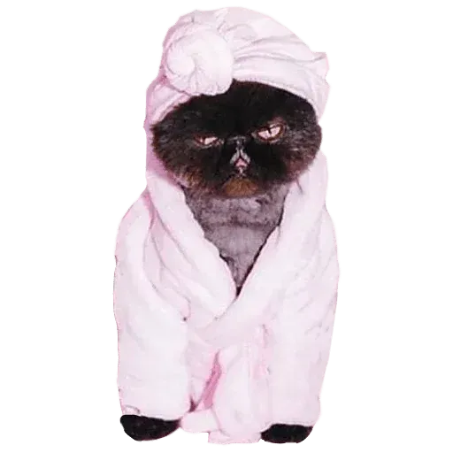 Goddamn cats - Sticker 29