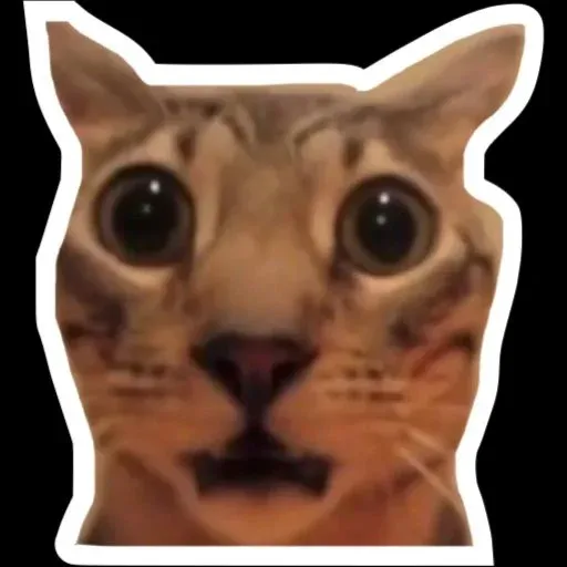 Korengg - Sticker 17