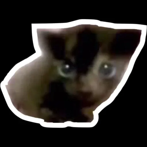 Korengg - Sticker 27