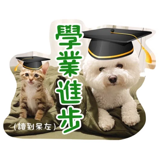 Kira Chan CNY 小新粒子賀年貼紙 - Sticker 13