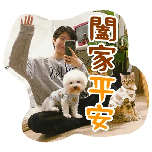 Kira Chan CNY 小新粒子賀年貼紙 - Sticker 14