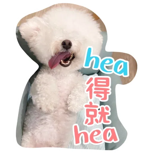 Kira Chan CNY 小新粒子賀年貼紙 - Sticker 10