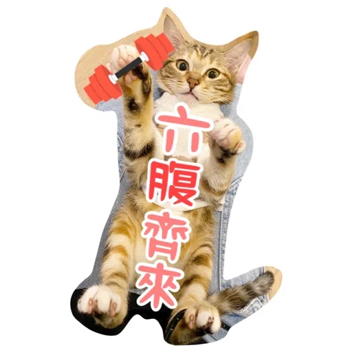 Kira Chan CNY 小新粒子賀年貼紙 - Sticker 11