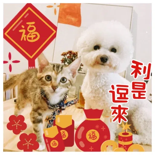 Kira Chan CNY 小新粒子賀年貼紙 - Sticker 15