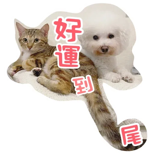 Kira Chan CNY 小新粒子賀年貼紙 - Sticker 12