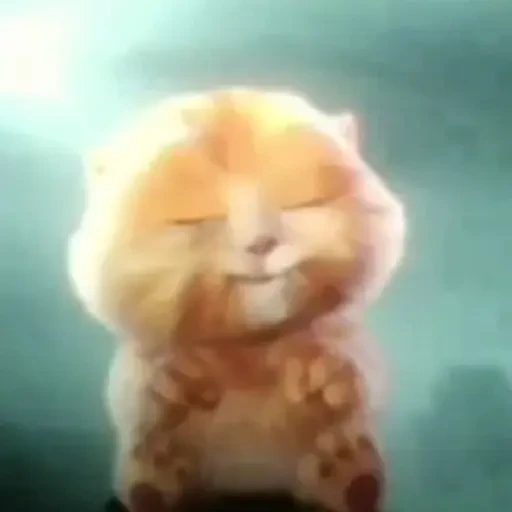 TikTok Animated Memes 6 - Sticker 11