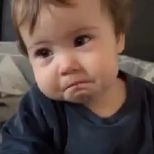 TikTok Animated Memes 6 - Sticker 27