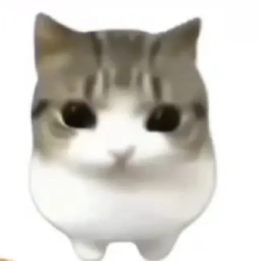 TikTok Animated Memes 6 - Sticker