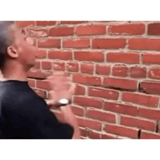 TikTok Animated Memes 6 - Sticker