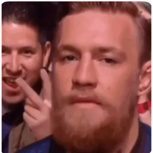 TikTok Animated Memes 6 - Sticker 29