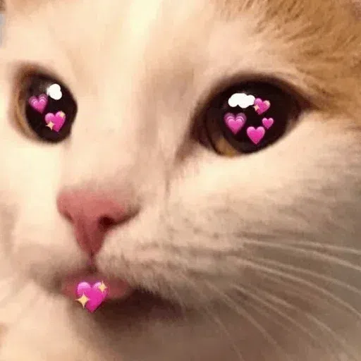 cats with threatening aura - Sticker 14