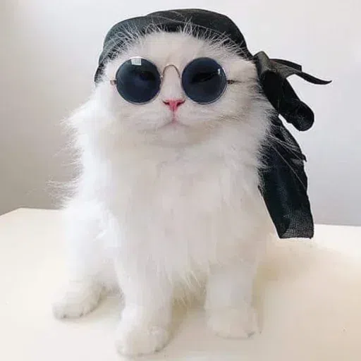 cats with threatening aura - Sticker 19