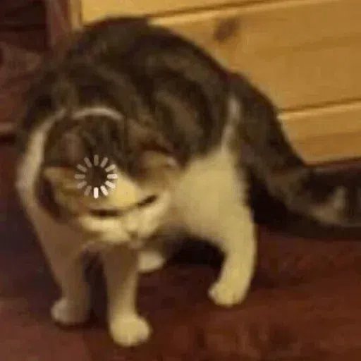 cats with threatening aura - Sticker 26