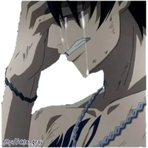 Fairy tail - Sticker 26