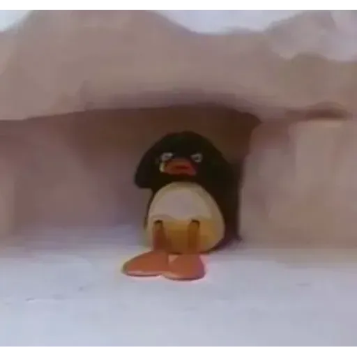 Pingu - Sticker 16