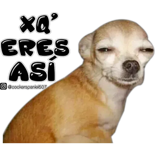 Qwerty1 - Sticker 9