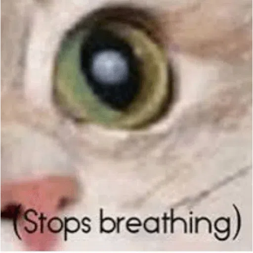 Memes 2 - Sticker 11