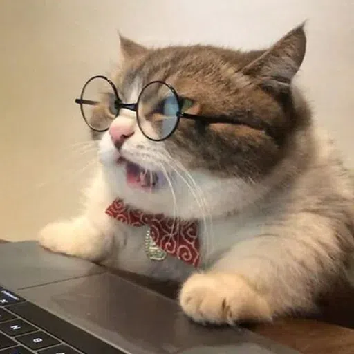 Cat memes - Sticker 26