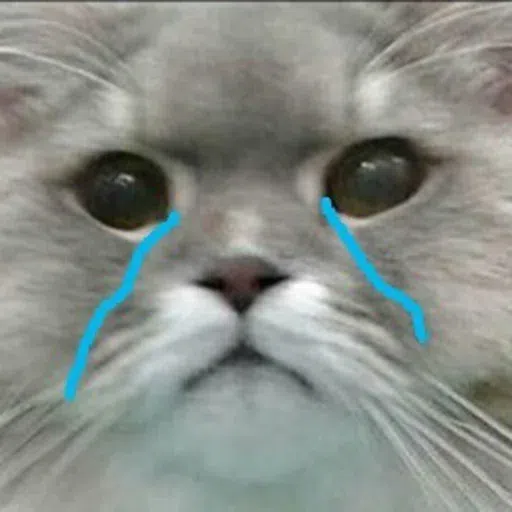 Cat memes - Sticker 19