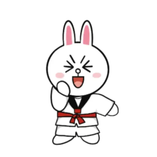 Happy New Year Taekwondo BROWN & FRIENDS (新年) (1) - Sticker 9