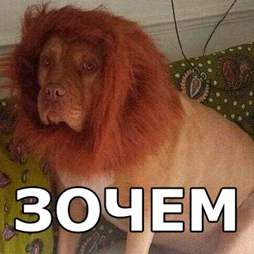 aleshaanimals20202 - Sticker 22