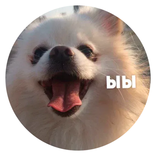 aleshaanimals20202 - Sticker 9