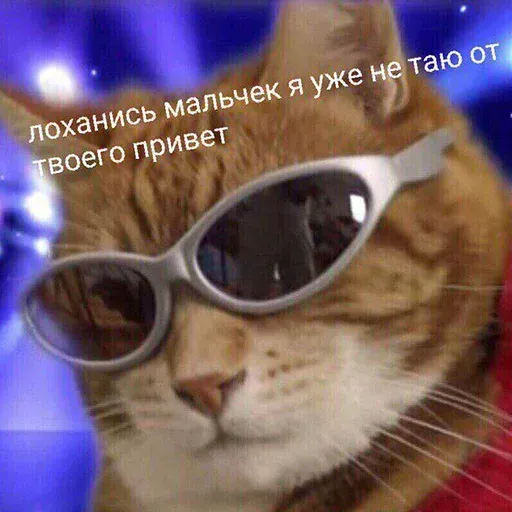 aleshaanimals20202 - Sticker 29