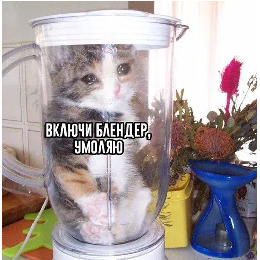 aleshaanimals20202 - Sticker 27