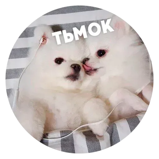 aleshaanimals20202 - Sticker 10