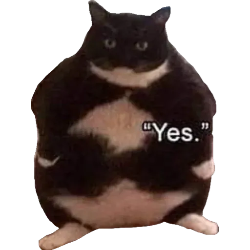 Catto stickerss - Sticker 19