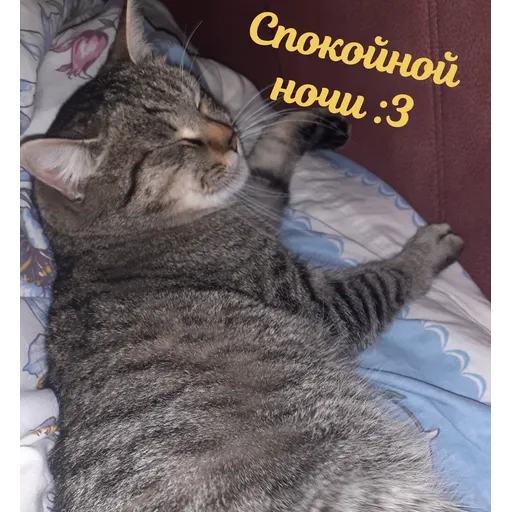 Мурррзик :3 - Sticker 19