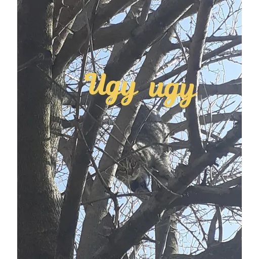 Мурррзик :3 - Sticker 15