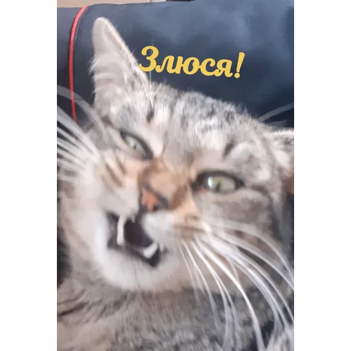 Мурррзик :3 - Sticker 10
