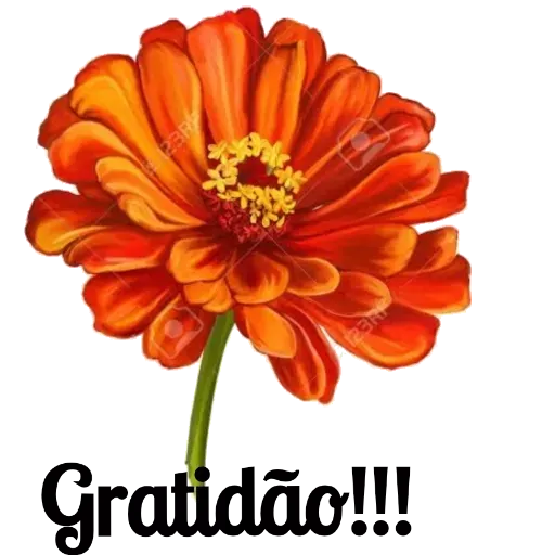 Gratidão 1 - Sticker 25