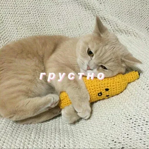 писсец - Sticker 21