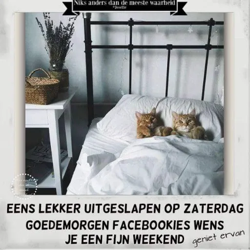 animals fun2 - Sticker 15