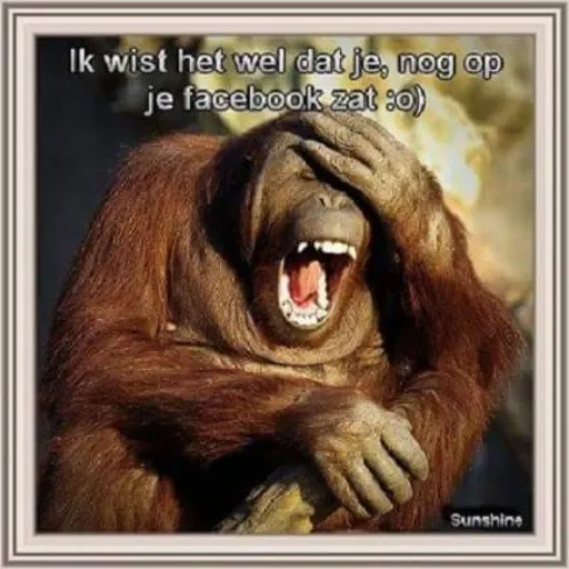animals fun2 - Sticker 19