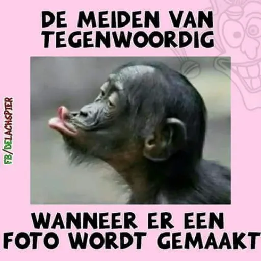 animals fun2 - Sticker 17