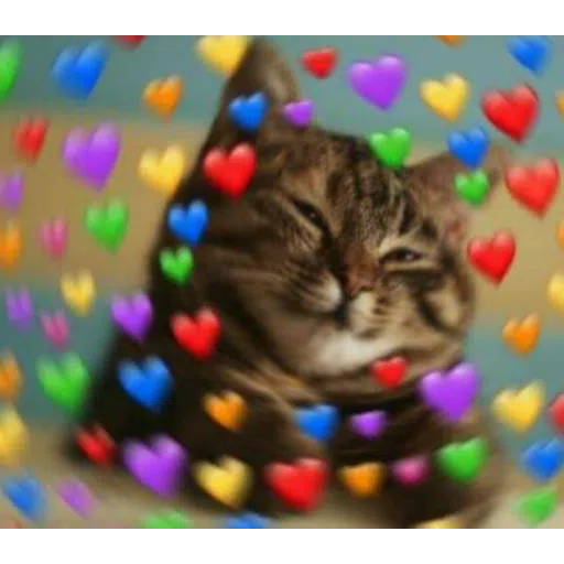 Cattos - Sticker 11